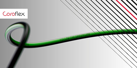 Follow the green line - discover our new products