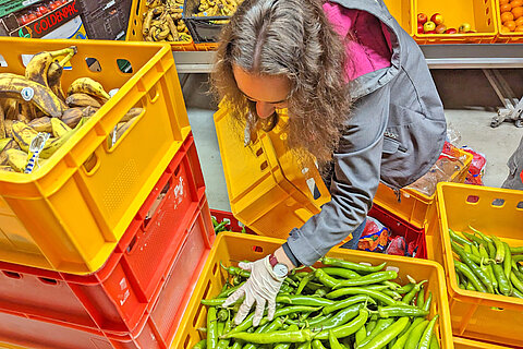 Azubi beim Sortieren von Obst- und Gemüsespenden